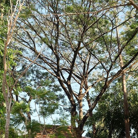 Rumah Jah Langkawi Pantai Cenang  Eksteriør bilde