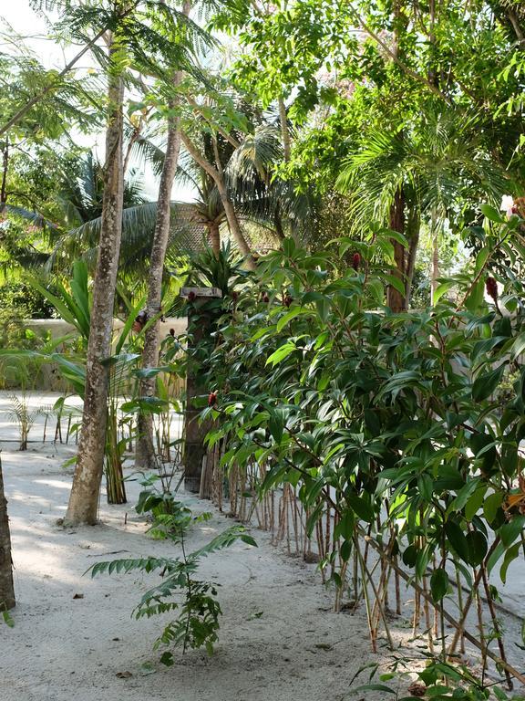 Rumah Jah Langkawi Pantai Cenang  Eksteriør bilde